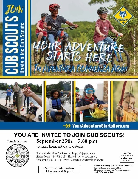 Cub scouts